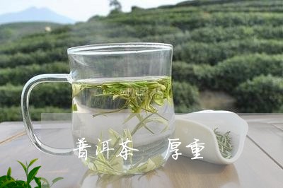 普洱茶 厚重/2023042863315